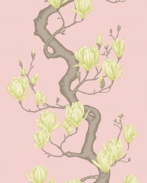 Обои Cole & Son Classics Vol. 2 Classics Vol. 2 128-1005 изображение 0