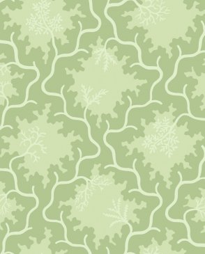 Обои Cole & Son Classics Vol. 2 Classics Vol. 2 128-4022 изображение 0