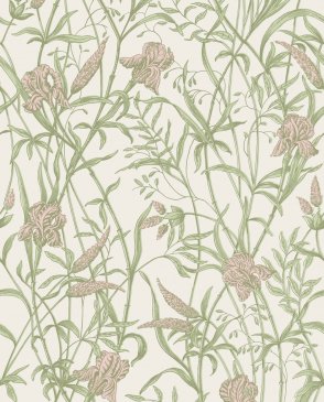 Обои Cole & Son Classics Vol. 2 Classics Vol. 2 128-5025 изображение 0