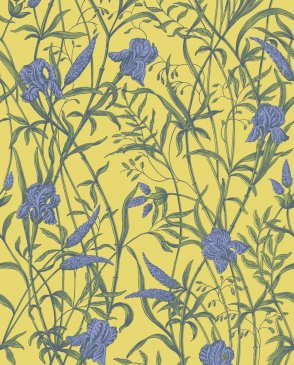 Обои Cole & Son Classics Vol. 2 Classics Vol. 2 128-5027 изображение 0