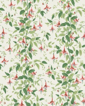 Обои Cole & Son Classics Vol. 2 Classics Vol. 2 128-6028 изображение 0