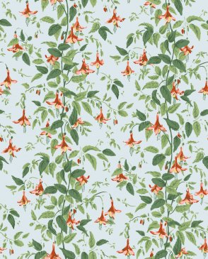 Обои Cole & Son Classics Vol. 2 Classics Vol. 2 128-6029 изображение 0