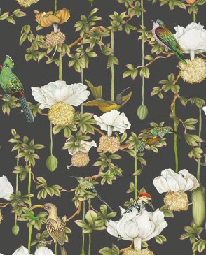 Обои Cole & Son Baobab Baobab 129-2009 изображение 0