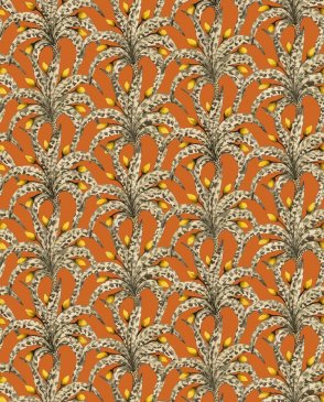 Обои Cole & Son Baobab Baobab 129-5018 изображение 0