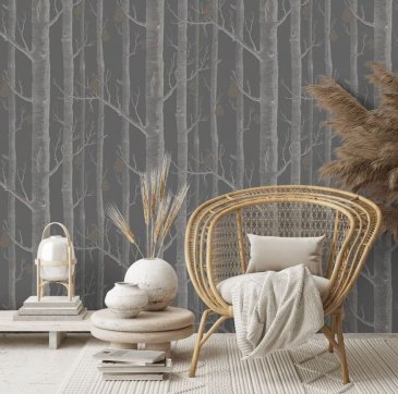 Обои Cole & Son Contemporary Restyled 95-5031 изображение 2