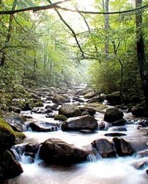 Обои Atlas Wallcoverings Raphael 2 1177