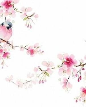 Обои Atlas Wallcoverings Raphael 4 1374