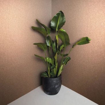 Обои Marburg Eclectic 34949 изображение 4