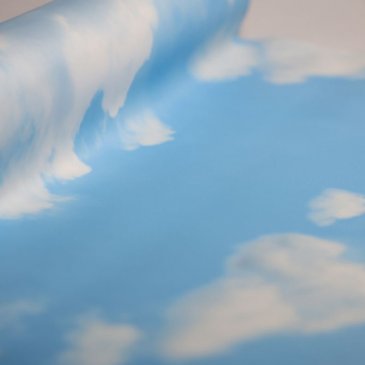 Обои Shinhan Natural 88421-2 изображение 2