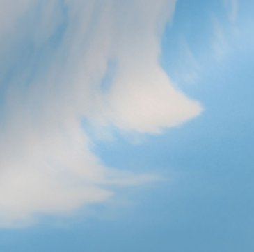 Обои Shinhan Natural 88421-2 изображение 4