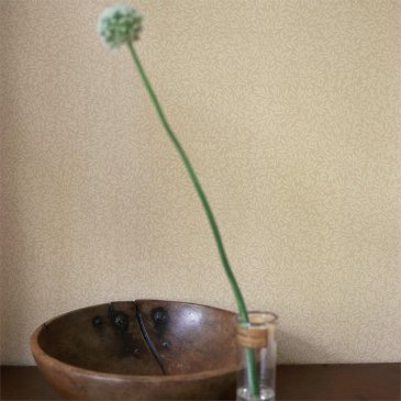 Обои Morris&Co Compilation Wallpaper 216833 изображение 2