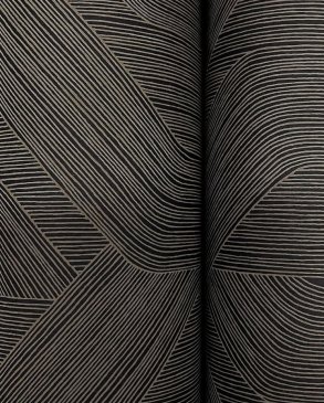 Обои York Candice Olson Natural Discovery NT6192 изображение 3