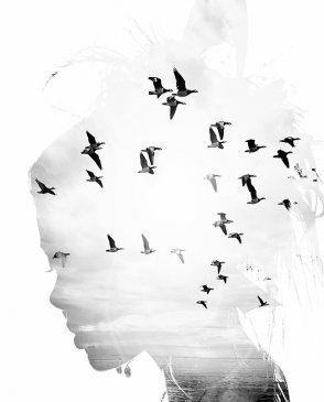 Фрески Wall Street Фрески 16934-16935