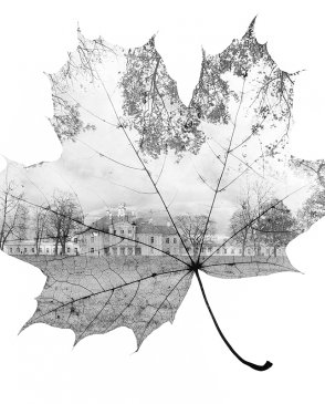 Фрески Wall Street Фрески 16936