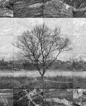 Фрески Wall Street Фрески 16946