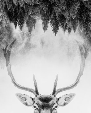 Фрески Wall Street Фрески 16957