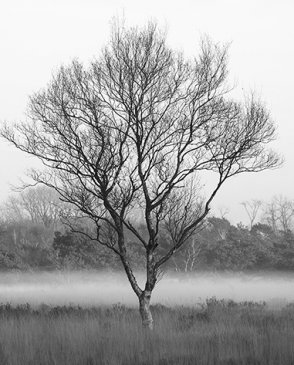 Фрески Wall Street Фрески 16958