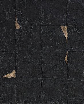 Обои на флизелиновой основе черные Essential Walpaper Collection 2018 17230EWC изображение 0