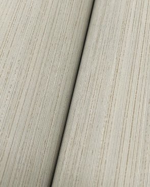 Обои York Candice Olson Natural Discovery NT6204 изображение 3