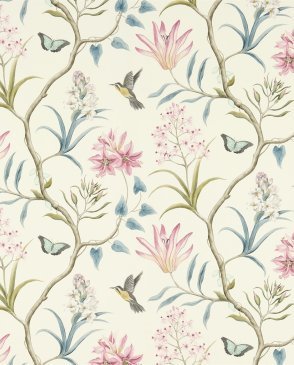 Обои Sanderson Voyage of Discovery Wallpapers Voyage of Discovery Wallpapers DVOY213386 изображение 0