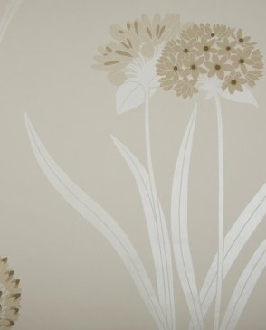 Обои Sanderson Pom Pom Papers Pom Pom Papers DPOMLI102 изображение 0