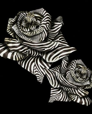Обои Roberto Cavalli Home 9 19116 изображение 0