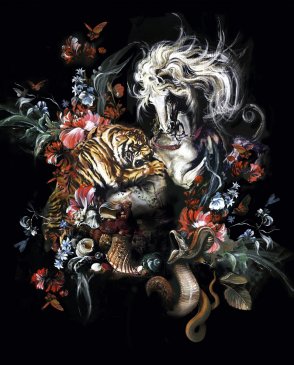 Обои Roberto Cavalli Home 9 19201 изображение 0