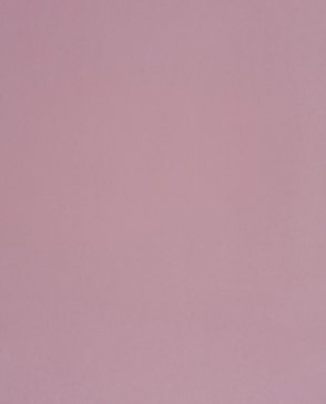 Обои Casadeco Alice & Paul 59654010