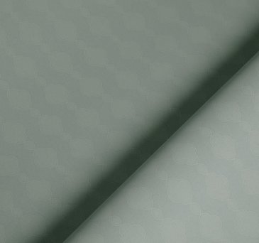 Обои Loymina Шервуд Brit21-005-1 изображение 4