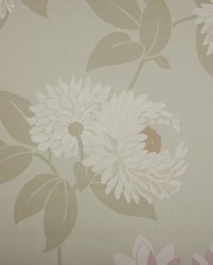 Обои Sanderson Pom Pom Papers Pom Pom Papers DPOMPO102 изображение 0