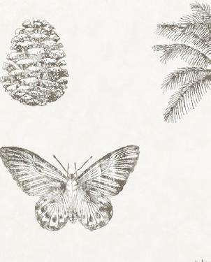 Обои Sanderson Voyage of Discovery Wallpapers Voyage of Discovery Wallpapers DVOY213384 изображение 0