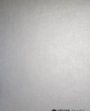 Обои Carlucci di Chivasso Botanica CH9084-072