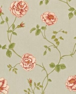 Обои Sanderson Painter's Garden Painter's Garden DAPGRO103 изображение 0