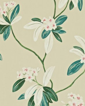 Обои Sanderson Richmond Hill Richmond Hill DRCH212131 изображение 0