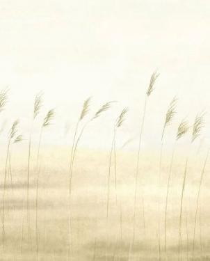 Обои Casadeco Sentier Des Dunes Sentier Des Dunes 200082705 изображение 0