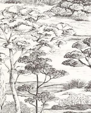 Обои черно-белые Sentier Des Dunes 200939374 изображение 0