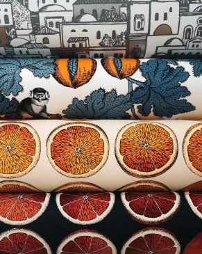 Обои Cole & Son Fornasetti 114-1003 изображение 4