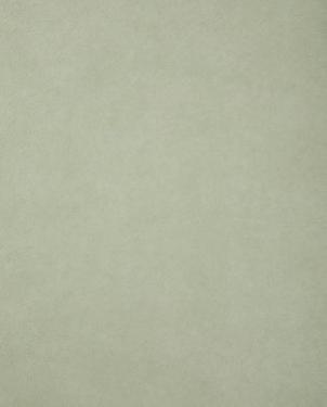 Обои Sanderson Parchment Flowers Parchment Flowers DPFWPP104 изображение 0