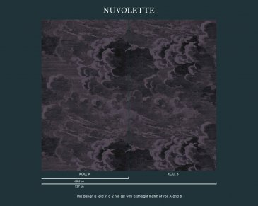 Обои Cole & Son Fornasetti 114-28057 изображение 3