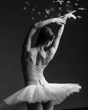 Фрески Фрески 21552 изображение 0