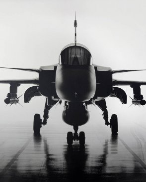 Фрески Фрески 21561 изображение 0