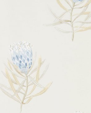 Обои Sanderson Curios 216327 изображение 0