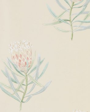 Английские Обои Sanderson Curios Curios 216329 изображение 0