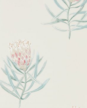 Обои Sanderson Curios 216330 изображение 0