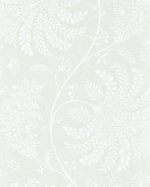 Обои Sanderson Curios 216343 изображение 0