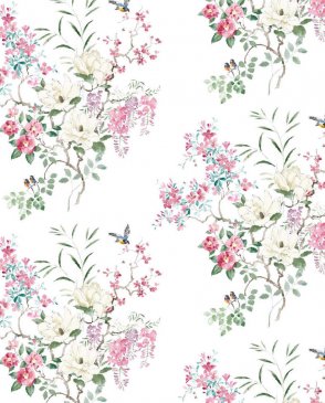 Английские Обои Sanderson Curios Curios 217469 изображение 0