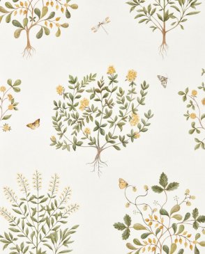 Обои Sanderson Highgrove 217508 изображение 0