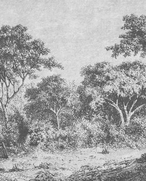 Фрески Wall Street Фрески 21767 изображение 0