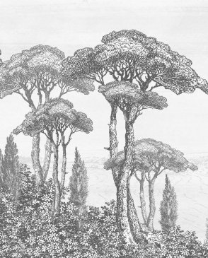 Фрески Фрески 21775 изображение 0