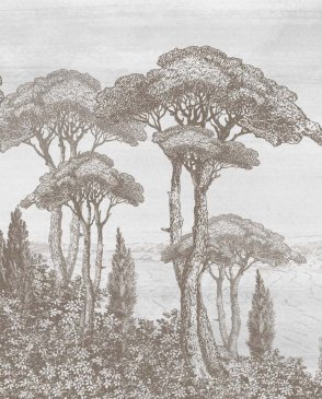 Фрески Фрески 21776 изображение 0